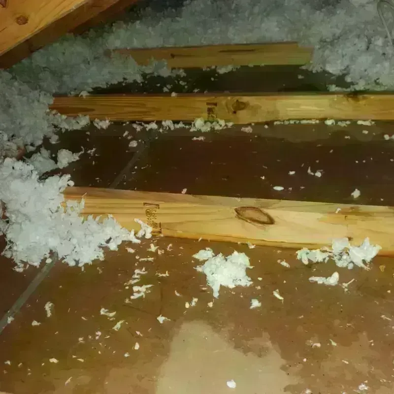 Attic Water Damage in Healdsburg, CA